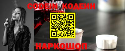 крисы Кулебаки