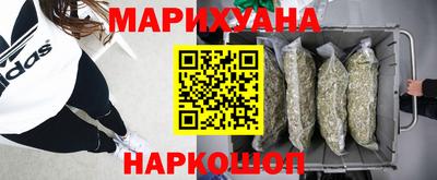 крисы Кулебаки