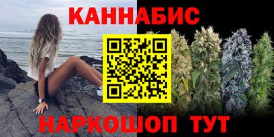 крисы Кулебаки